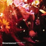 Brownswood electr*c 2 (Brownswood)