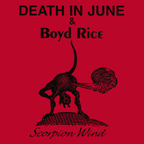 DIJ Scorpion Wind